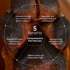 HICC PET paw balm on dog's paw after hike demonstrating soothing relief