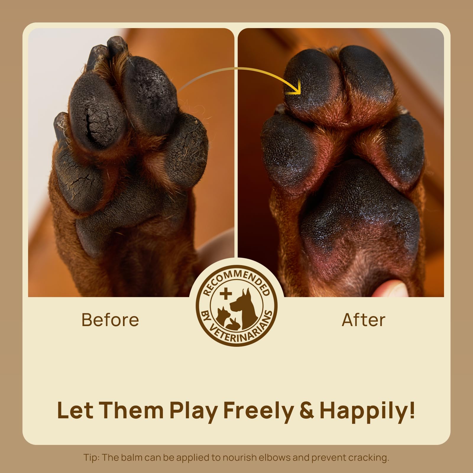 HICC PET paw balm odor relief action on active paws during outdoor adventures