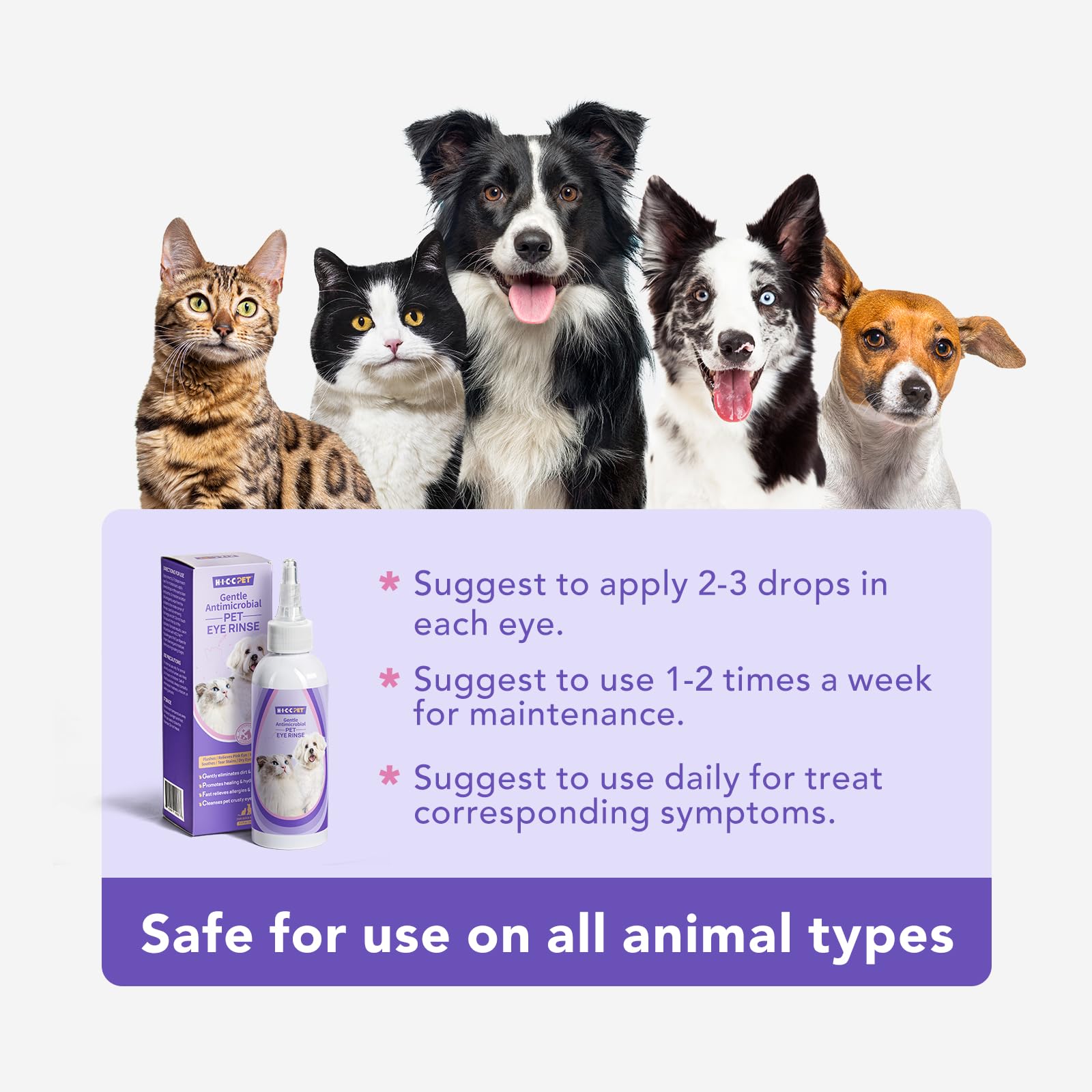 HICC PET tear-stain-cleaner concept showing potential staining reduction with regular use.