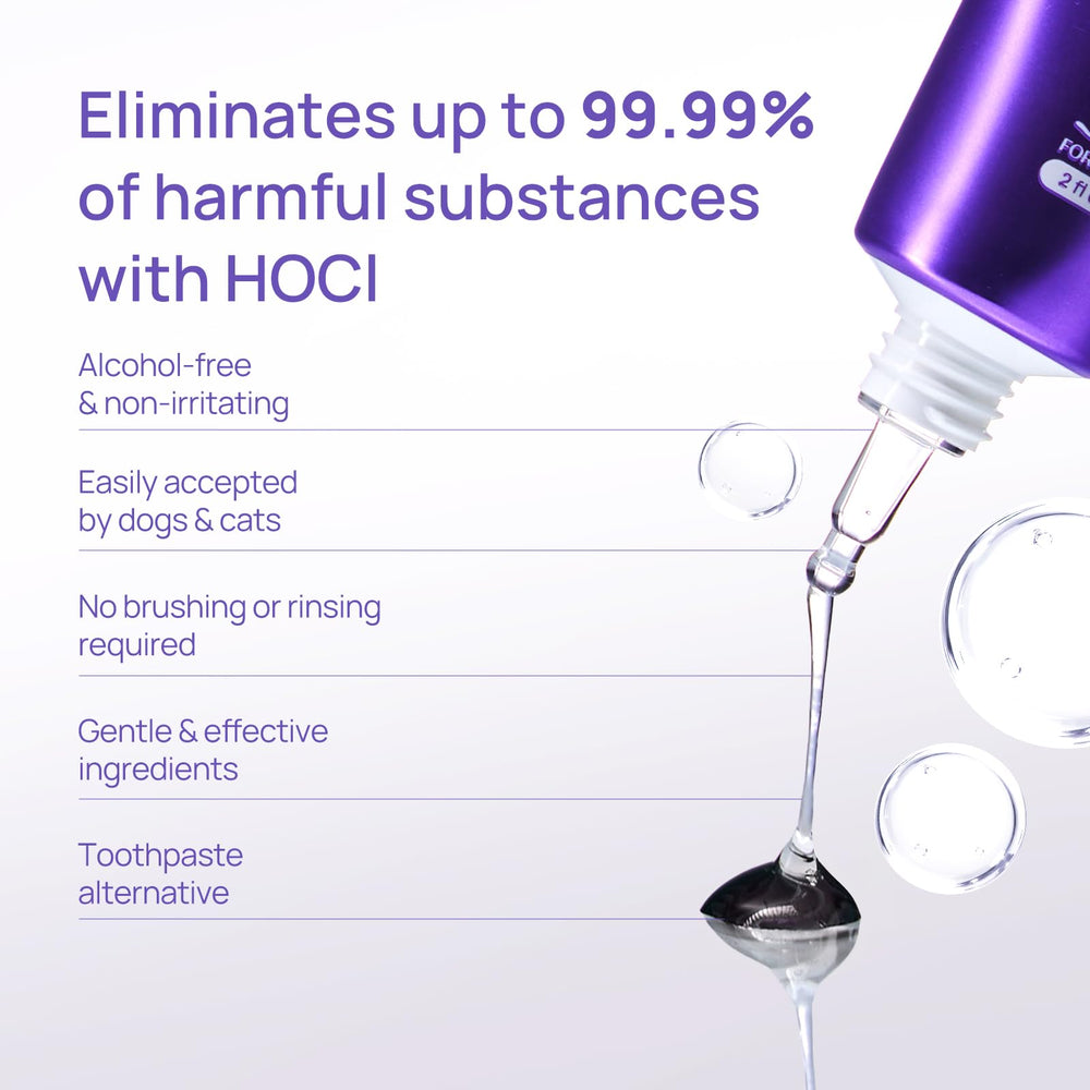 HICC PET Teeth Cleaning Gel on a dog's mouth for gentle hygiene
