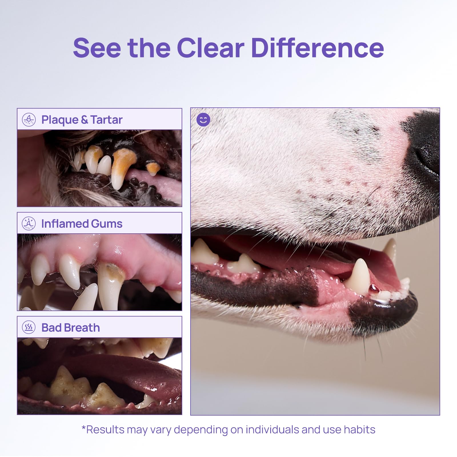 HICC PET Teeth Cleaning Gel includes free sterile wipe for hygiene