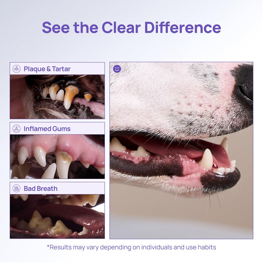HICC PET Teeth Cleaning Gel includes free sterile wipe for hygiene