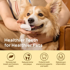 HICC Pet Teeth Cleaning Wipes close-up texture showing gentle finger-wipe action for gums.