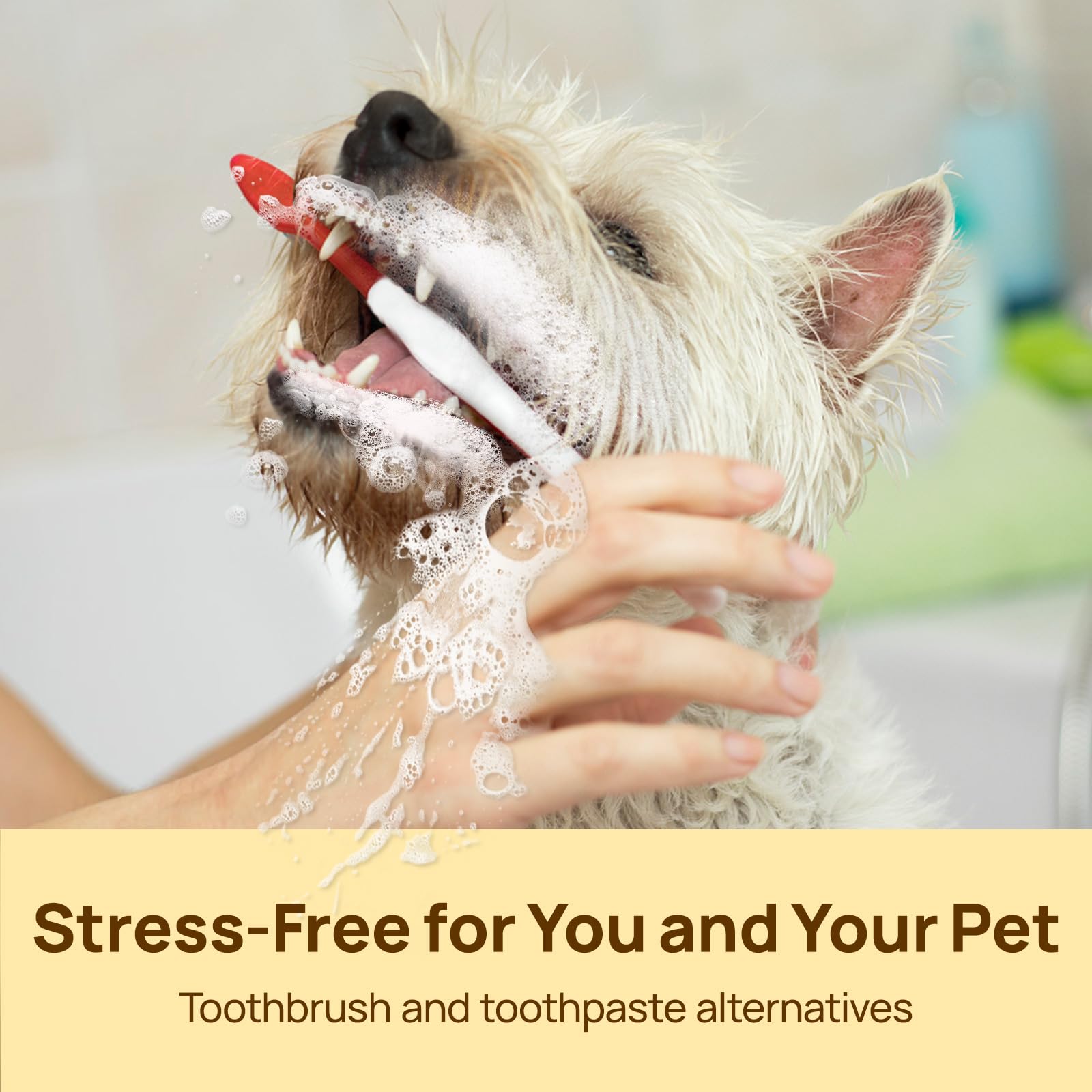 HICC Pet Teeth Cleaning Wipes safe-formula label highlights coconut oil fermentation and alcohol-free safety.