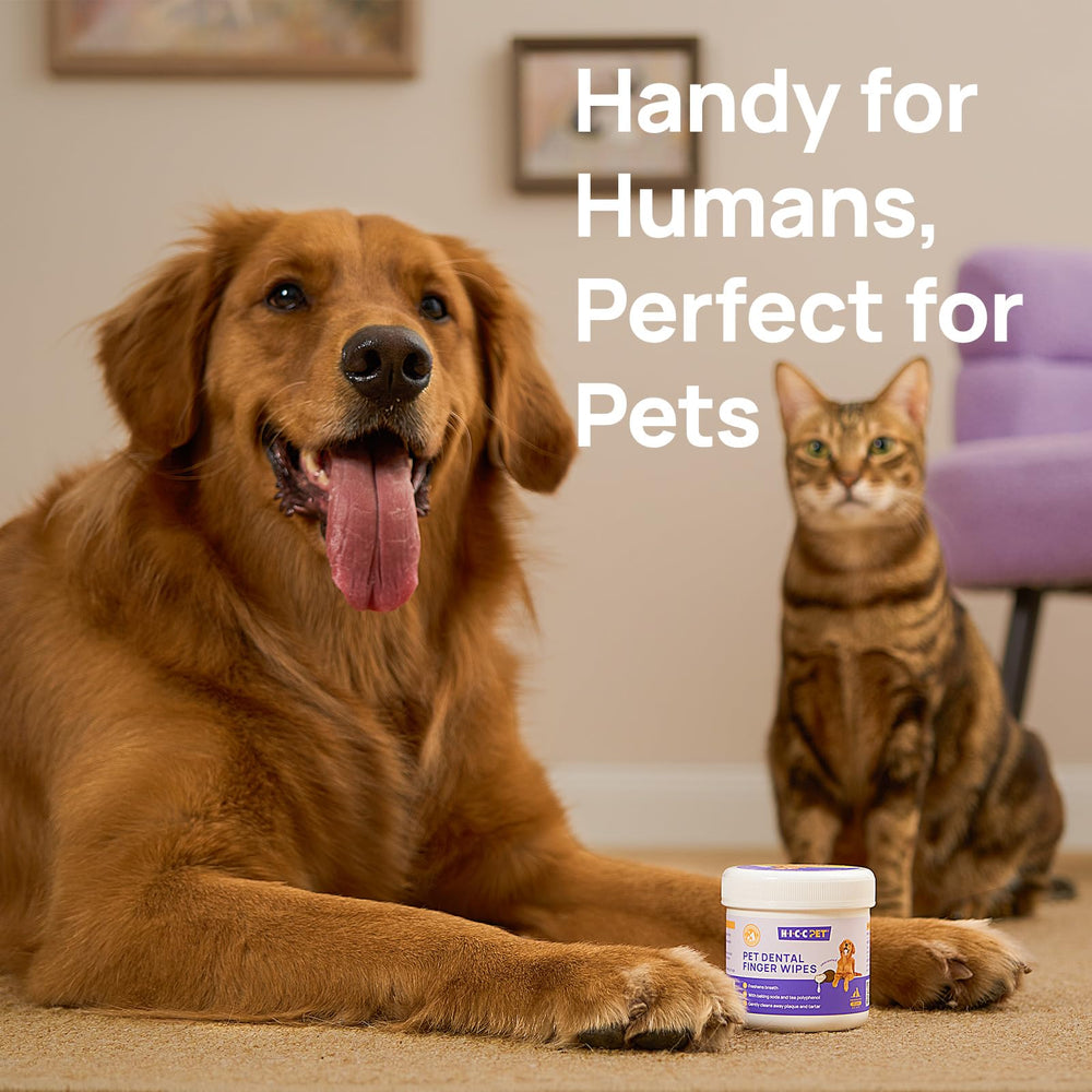 HICC Pet Teeth Cleaning Wipes travel-use scenario for quick on-the-go oral care.