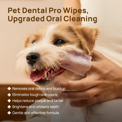 HICC PET Pro toallitas dentales para dedo aliento fresco tras la limpieza