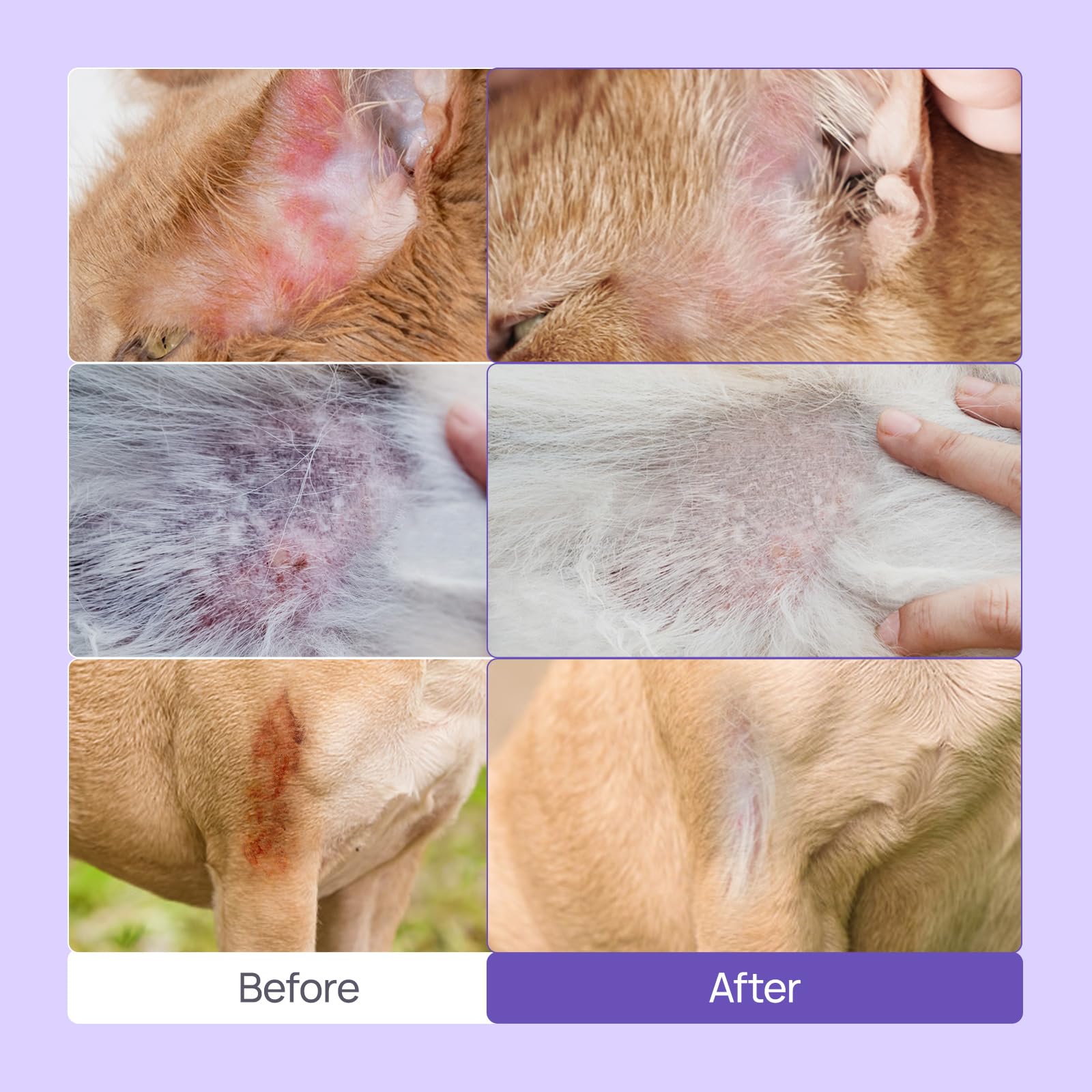 HICC PET vet-formulated-skin-soother conveys professional quality and gentle care.