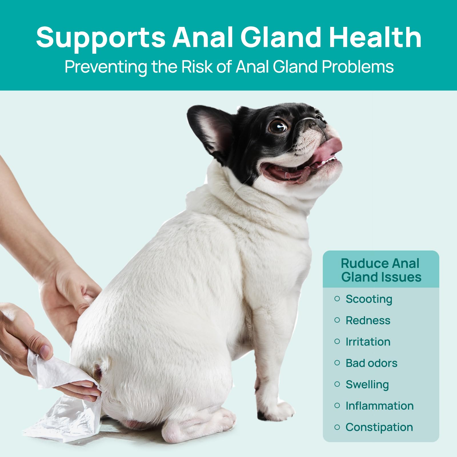 HICC PET Wipes applied around the anal area for comfortable cleaning.