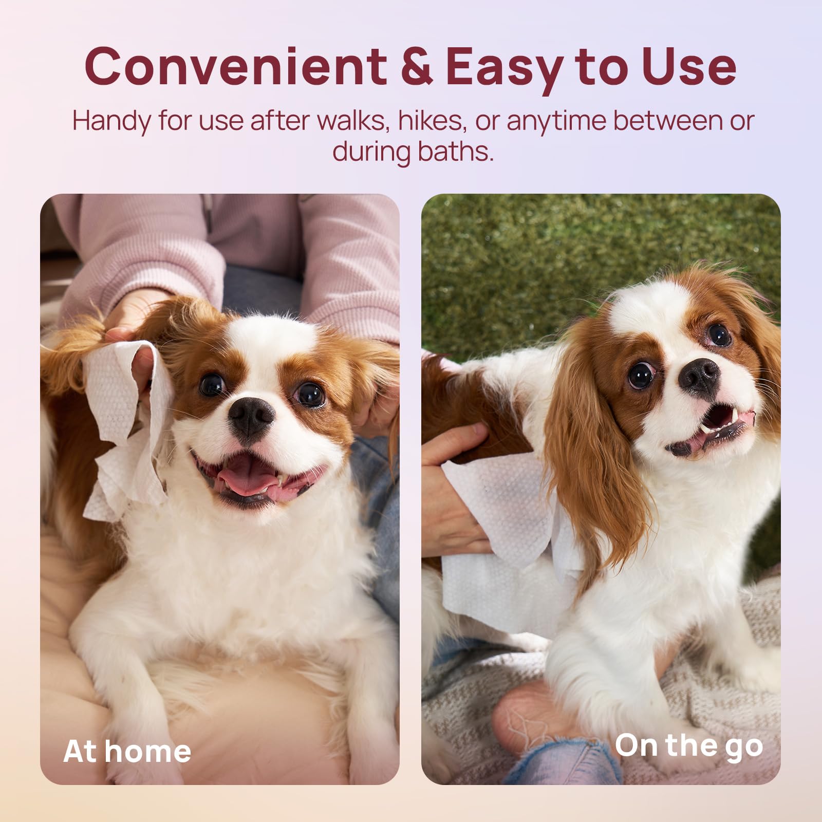 HICC PET Wipes biodegradable plant fibers for eco-friendly grooming.