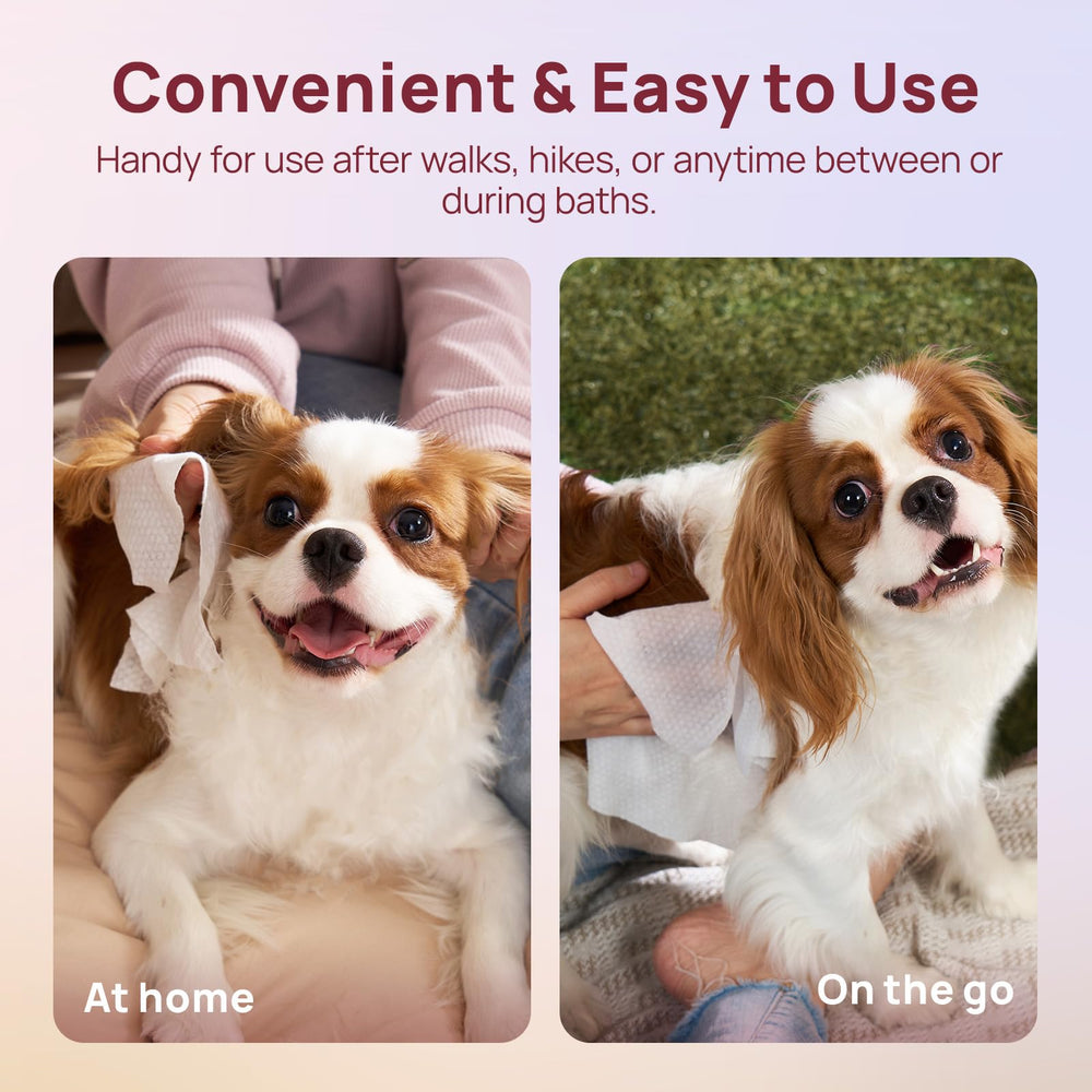 HICC PET Wipes biodegradable plant fibers for eco-friendly grooming.