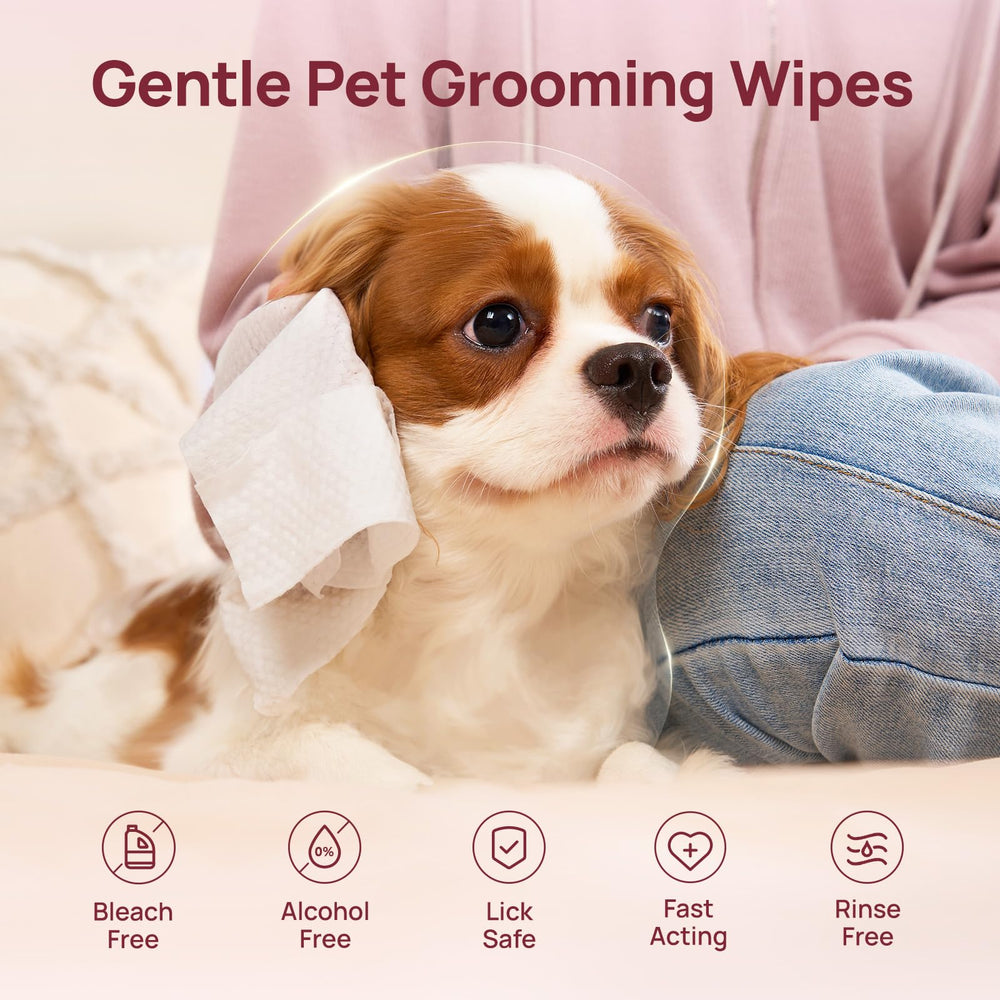 HICC PET Wipes deodorizing effect helps freshen fur between baths.