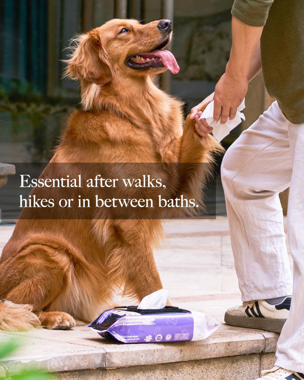 HICC PET Wipes on dog fur after use reveals healthy-looking shine