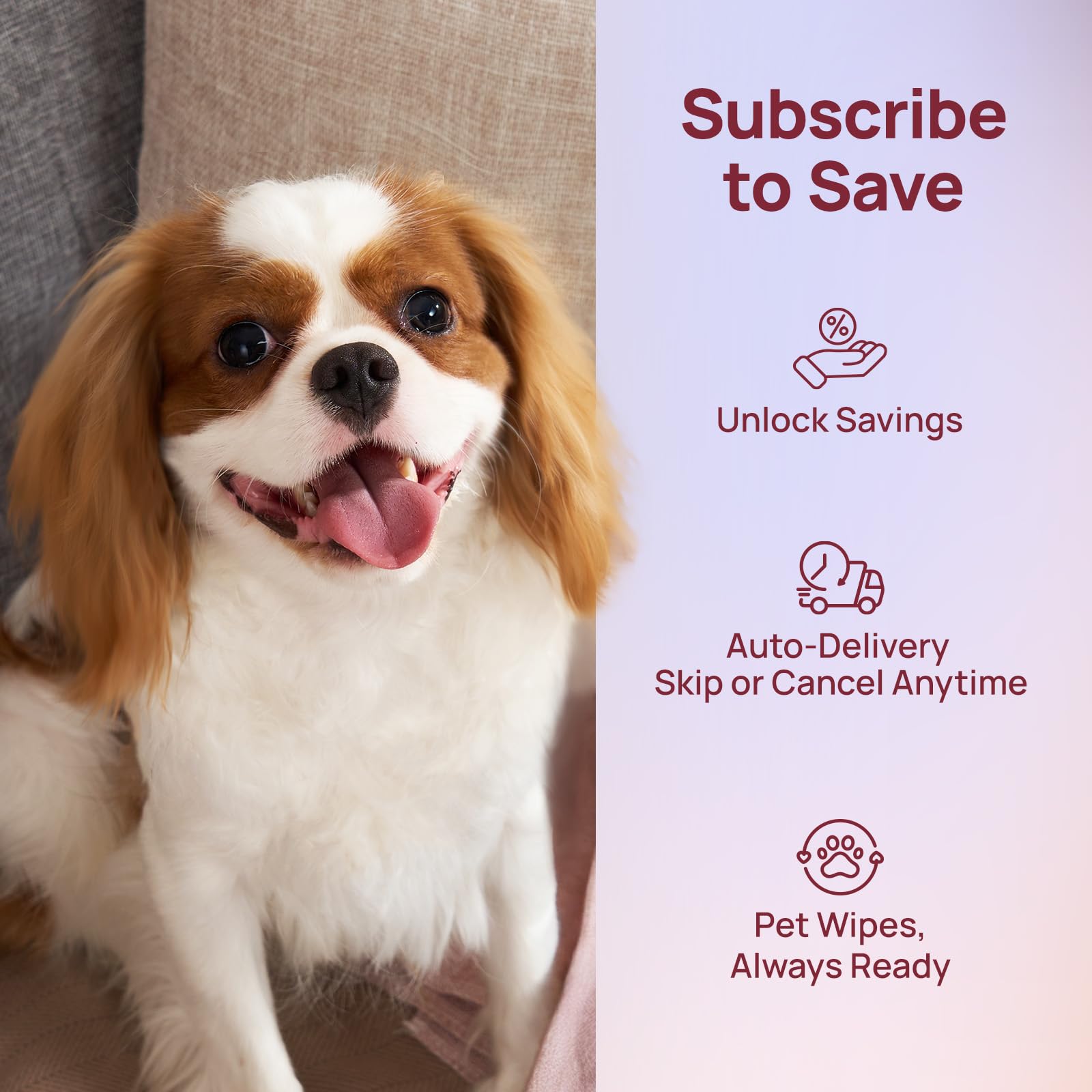 HICC PET Wipes portable bag dispenser ready for travel and on-the-go grooming