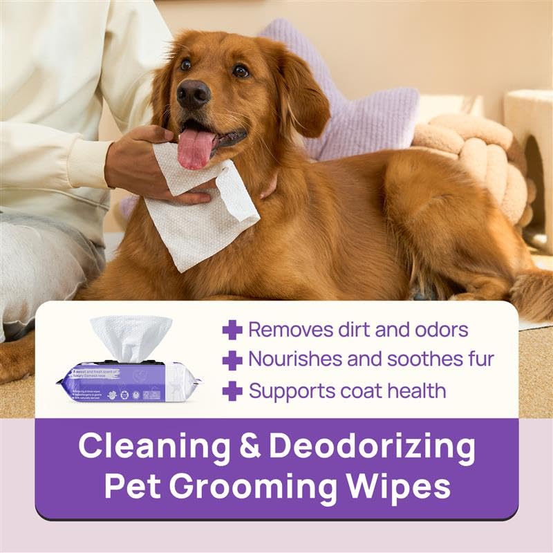 HICC PET Wipes rose close-up showing gentle formula for pets.
