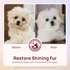 HICC PET Wipes hydration action moisturizes and nourishes fur.