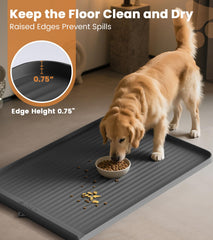 HICOOI raised edges contain messes during feeding to keep floors clean.