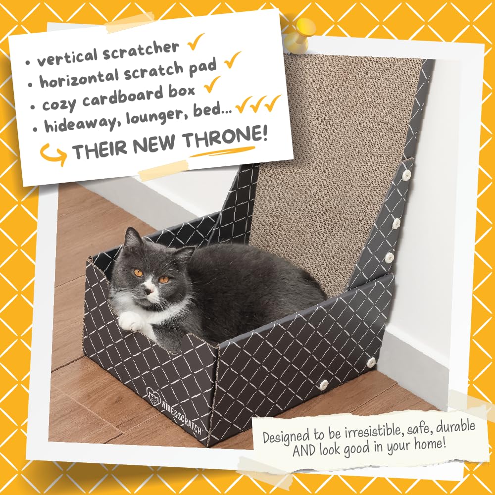 Hide & Scratch four-in-one cat scratcher bed promotes enrichment and comfort