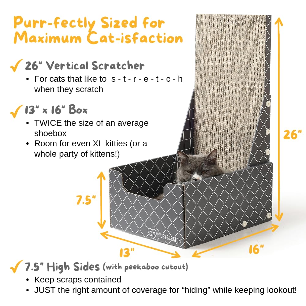 Hide & Scratch refillable double-sided pad extends use and reduces waste