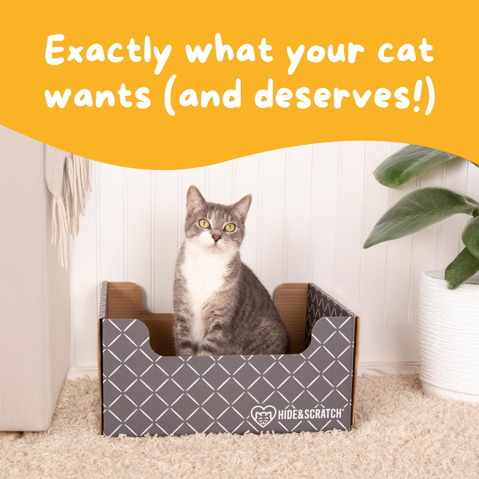 Hide & Scratch material close-up highlights recyclable, durable cardboard construction.