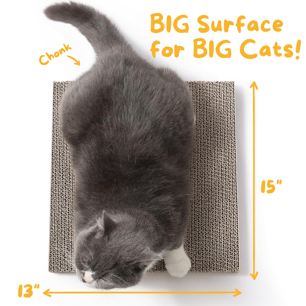 Hide & Scratch cat scratcher pad in use with kitten promotes mental stimulation and active scratching.