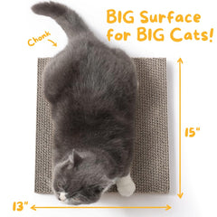 Hide & Scratch cat scratcher pad in use with kitten promotes mental stimulation and active scratching.