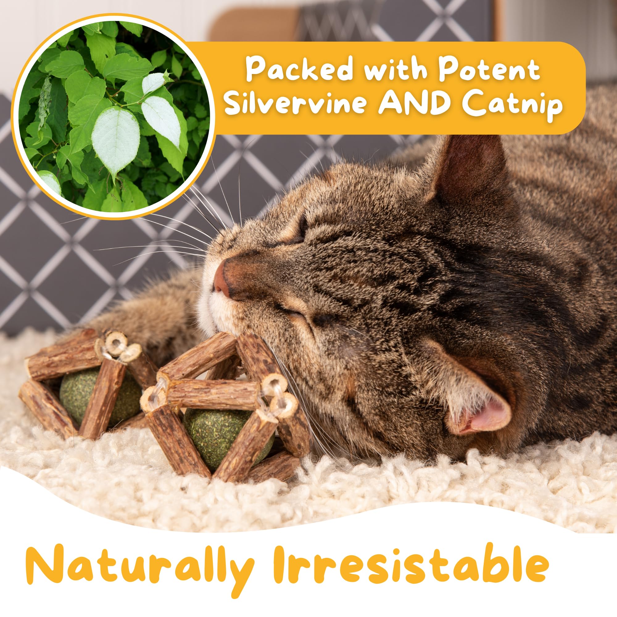 Hide & Scratch silvervine catnip balls in action, showcasing movement and mental enrichment through daily play.