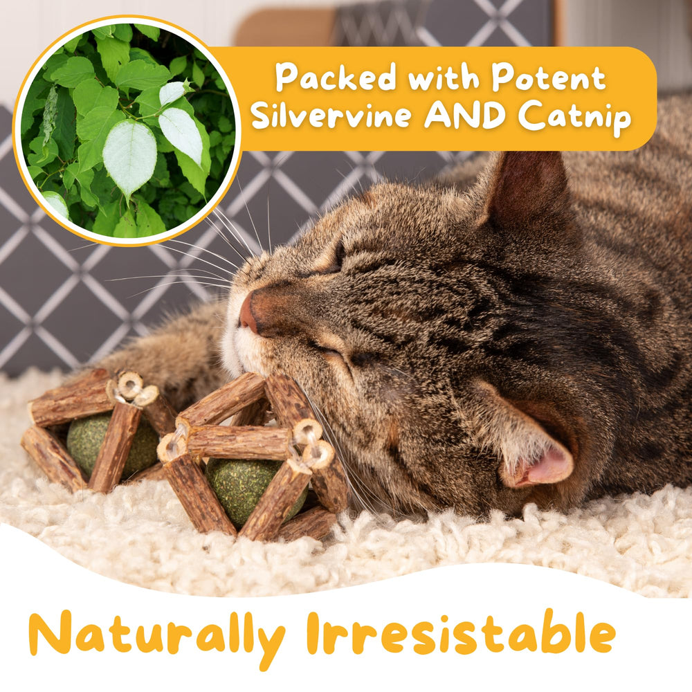 Hide & Scratch silvervine catnip balls in action, showcasing movement and mental enrichment through daily play.