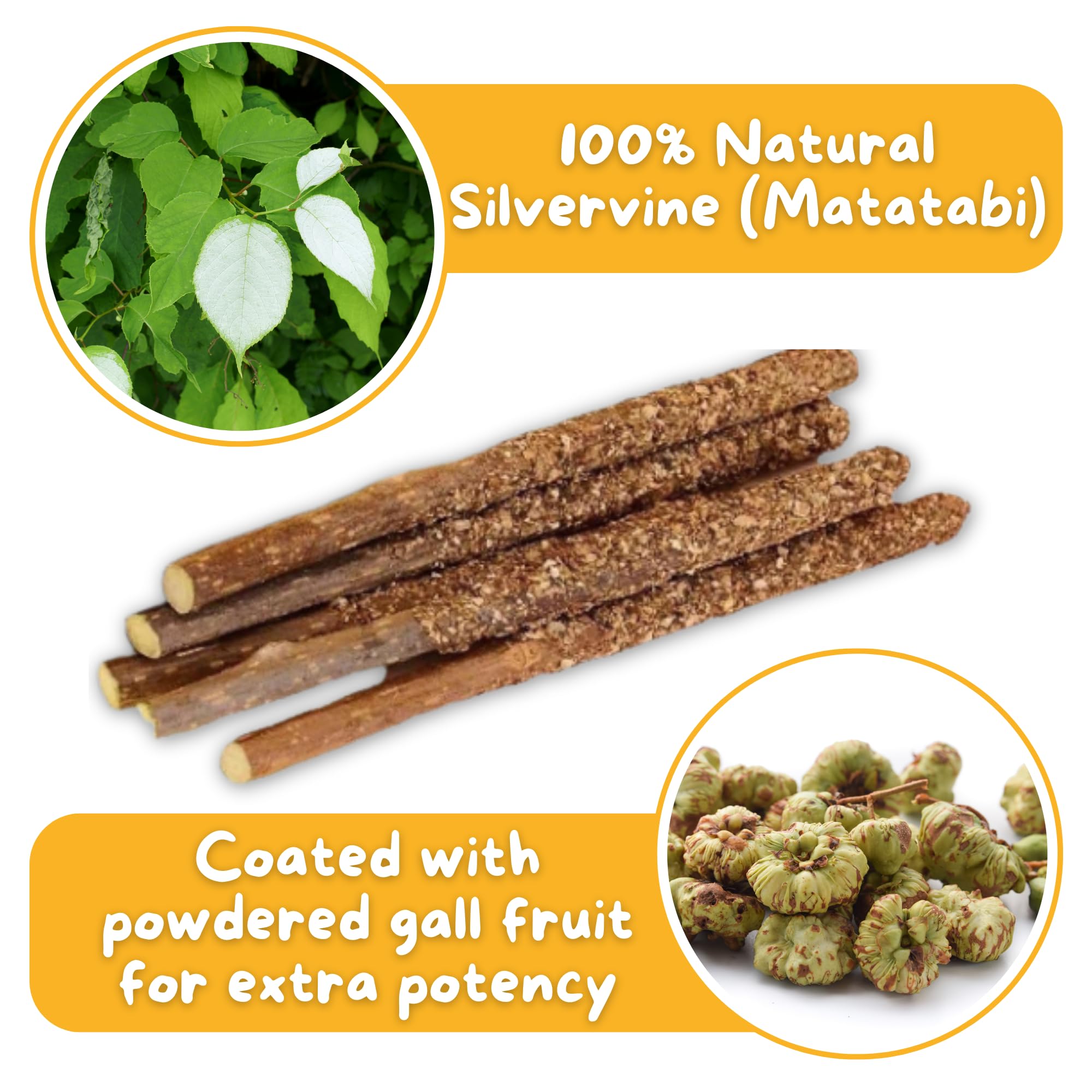 Hide & Scratch silvervine stick close-up shows rugged bark texture for satisfying chews.