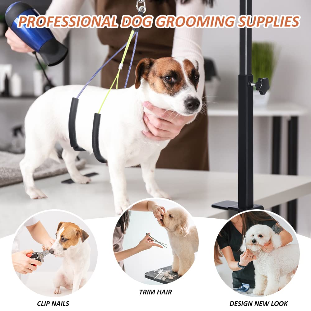 HIDOG assembly with quick-install design for easy home setup