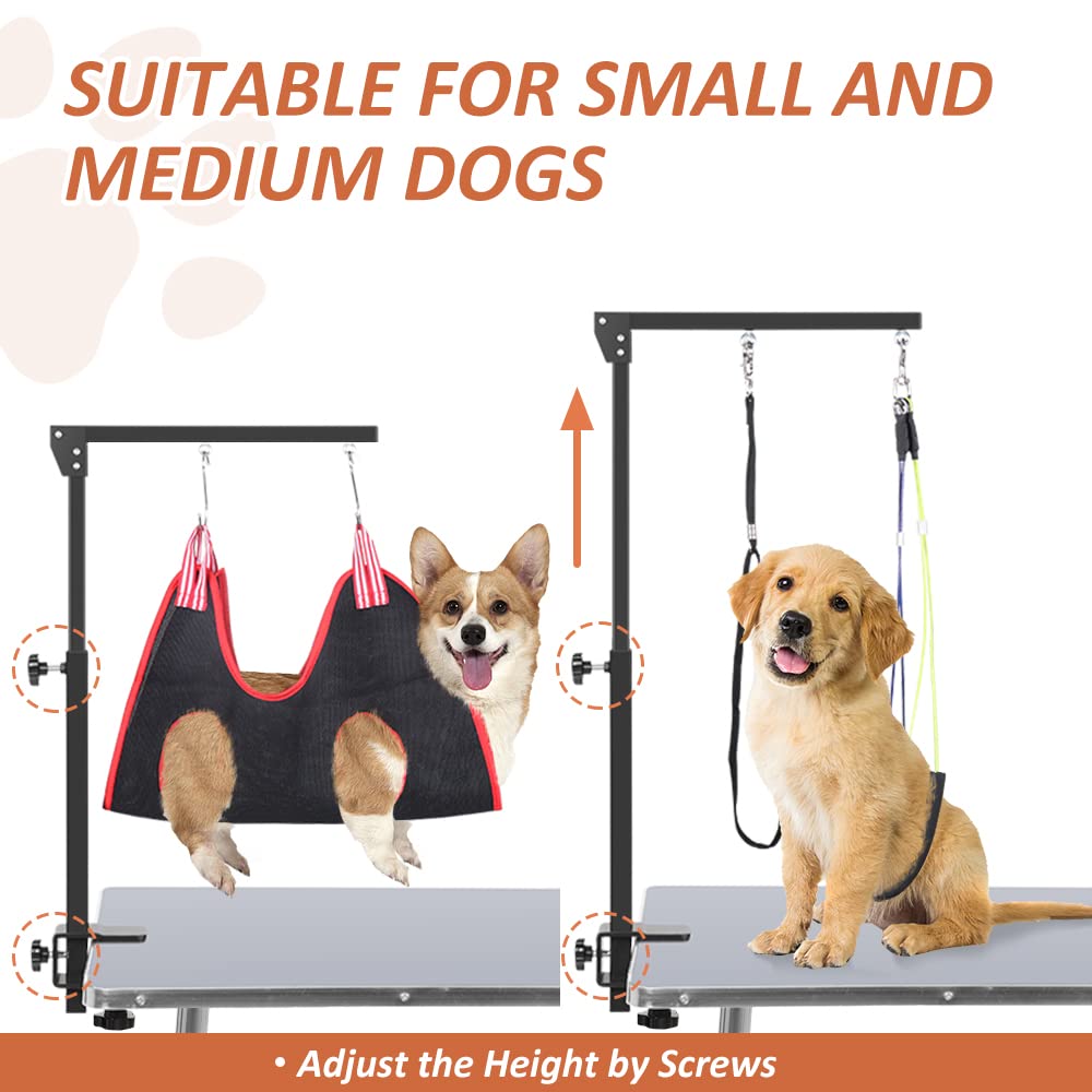 HIDOG arm rotates 270 degrees for flexible grooming angles