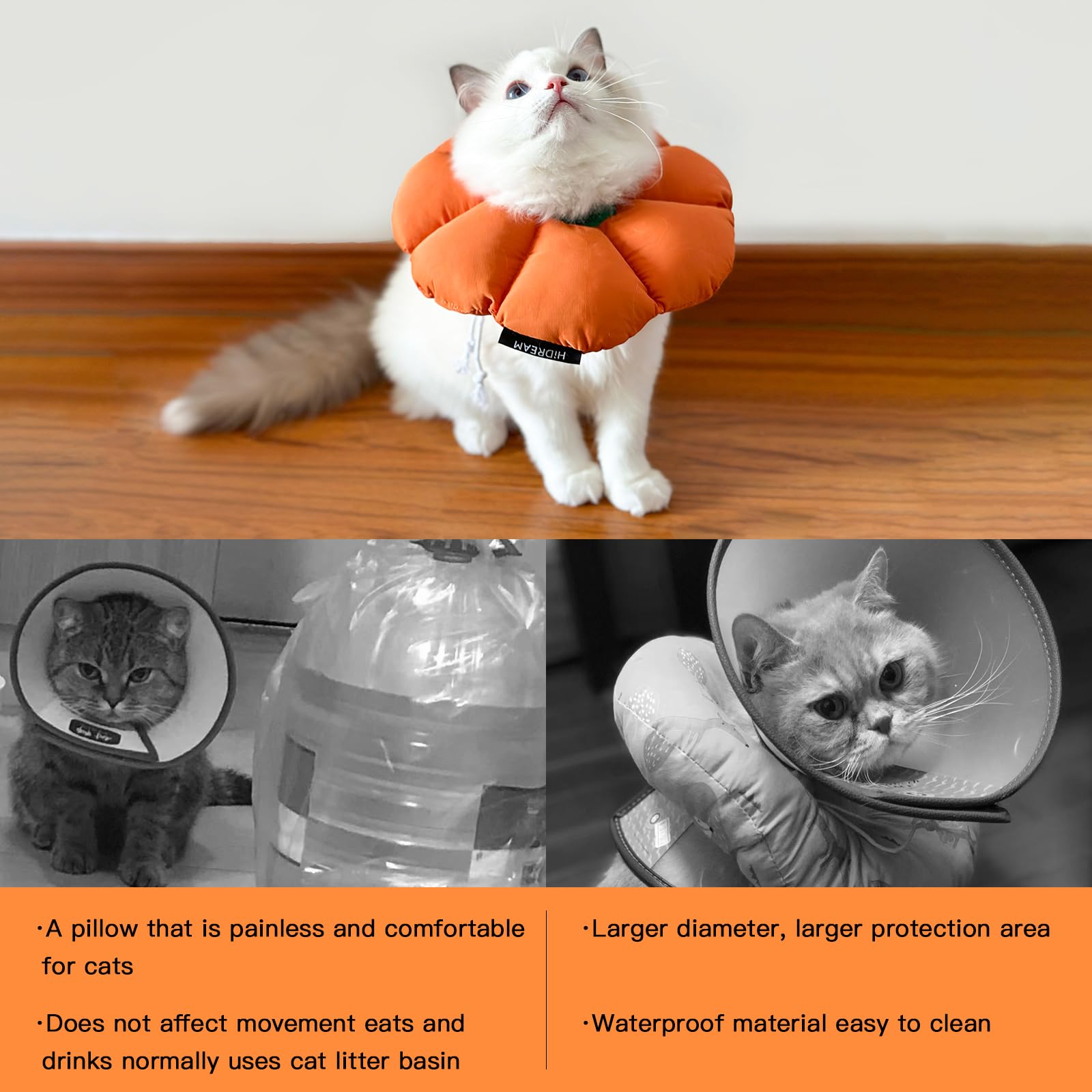 H HIDREAM cat cone collar festive orange pumpkin design adds seasonal flair.