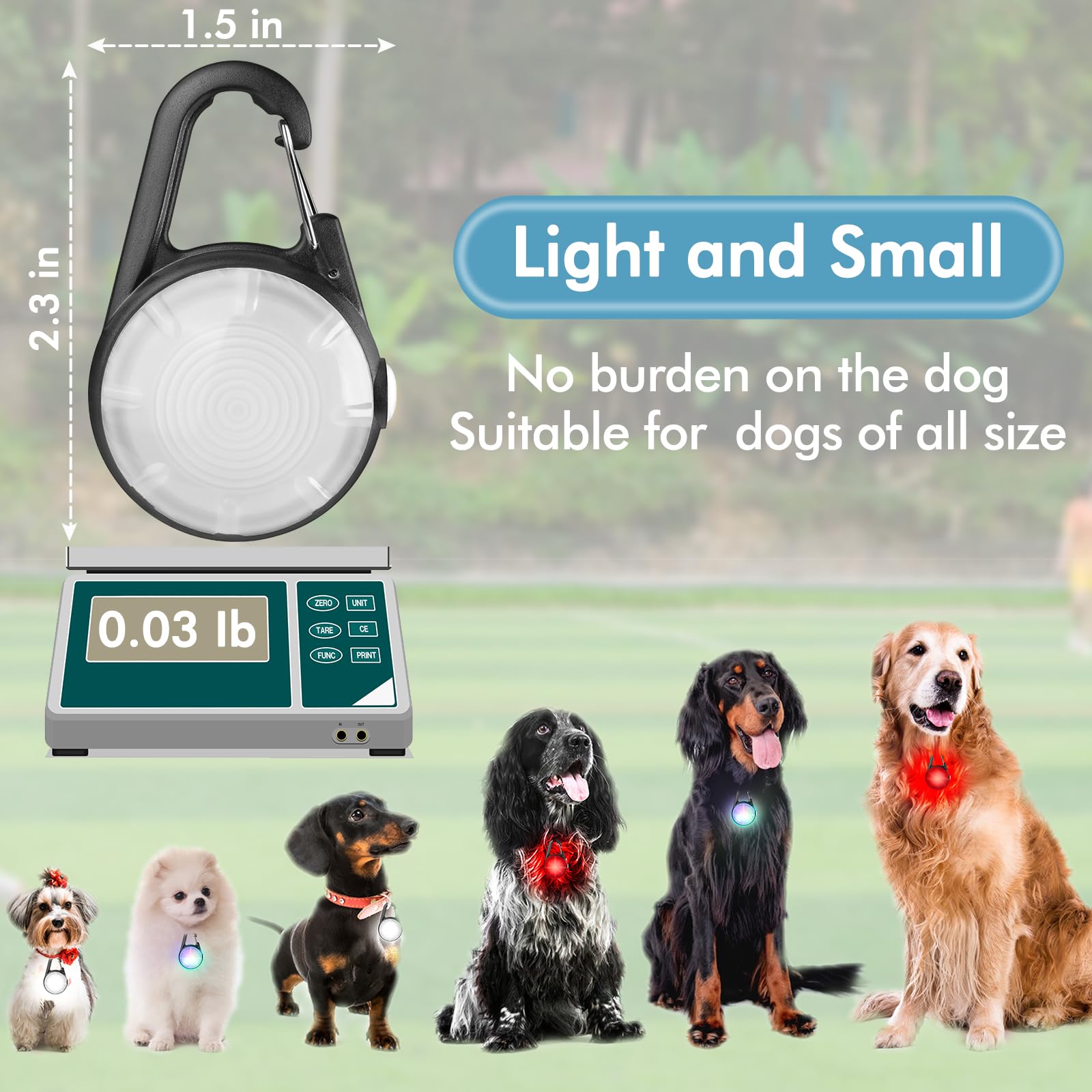 HIFORT 7-LED brightness reaches 100 meters for safe night runs