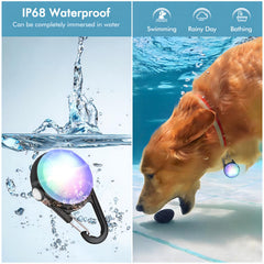 HIFORT IP68 waterproof dog collar light withstands rain and splashes for outdoor adventures