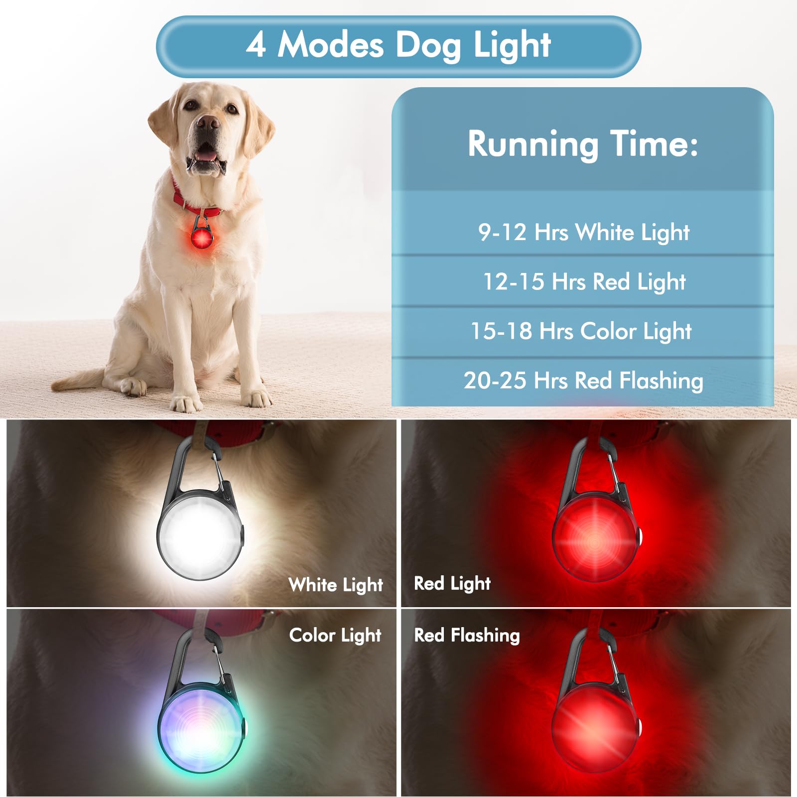 HIFORT USB-rechargeable dog collar light with long-lasting power for evening strolls