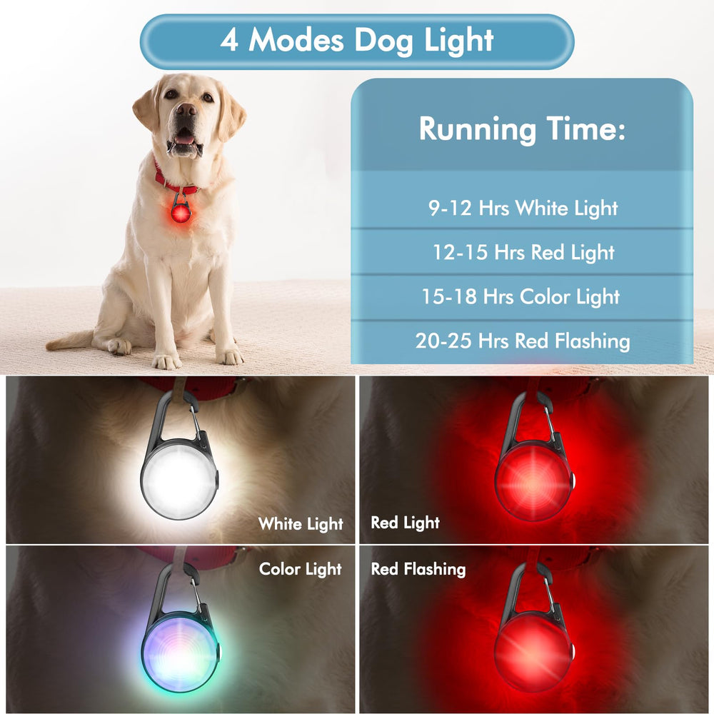 HIFORT USB-rechargeable dog collar light with long-lasting power for evening strolls