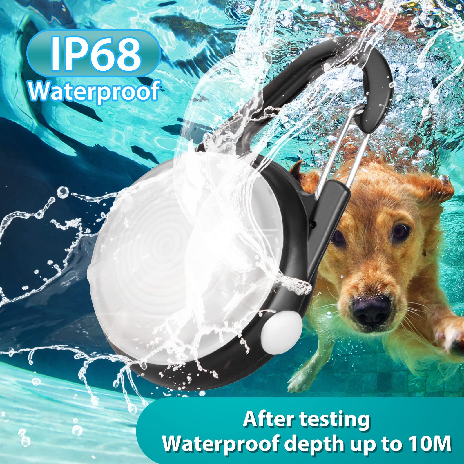HIFORT dog light IP68 waterproof housing withstands rain and splashes.