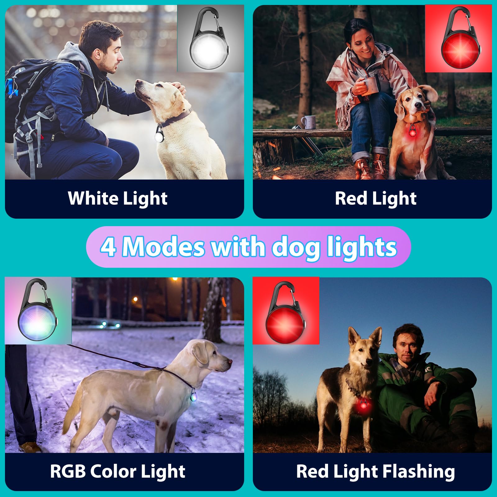 HIFORT dog light two-pack offers convenient backup for multiple dogs.