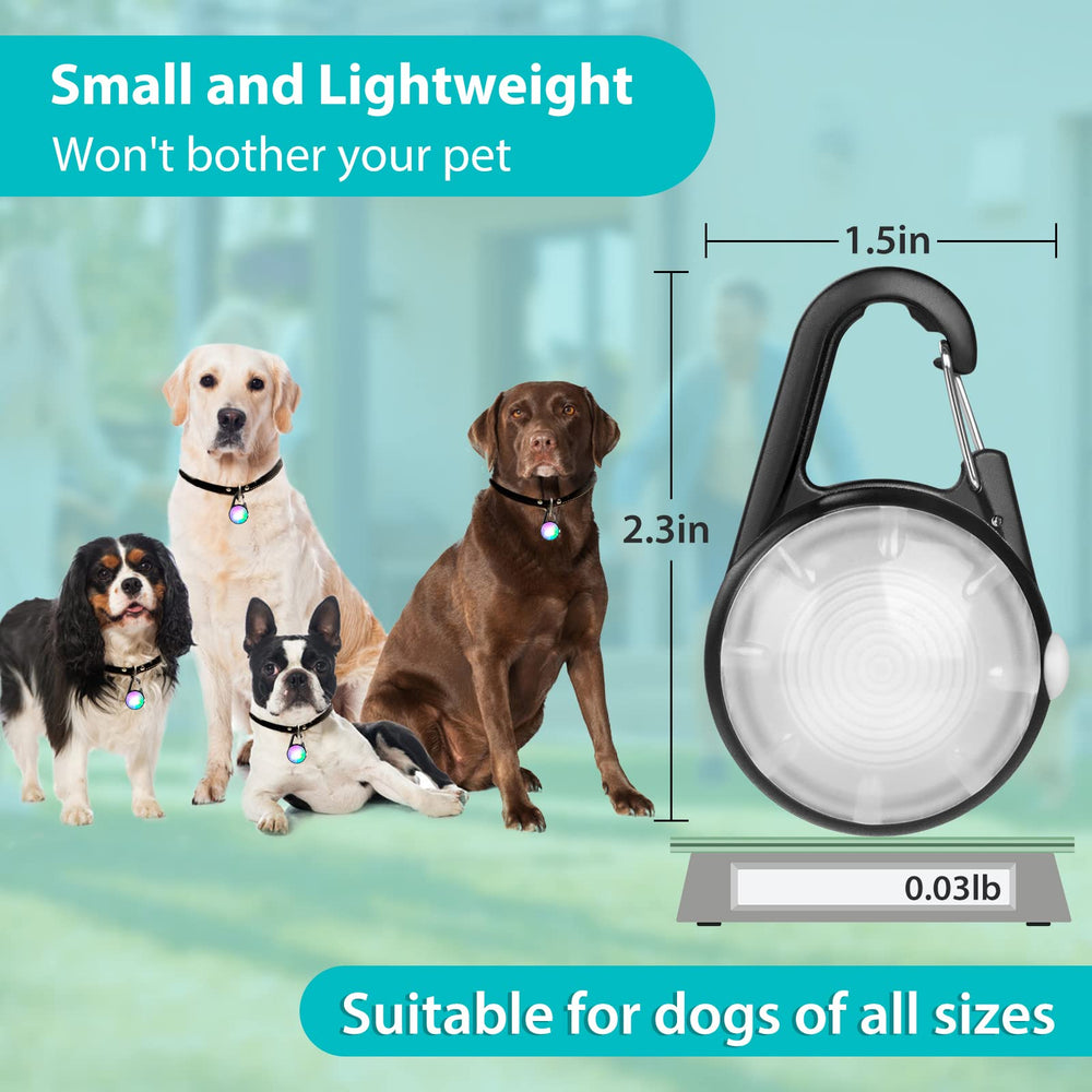 HIFORT dog light USB rechargeable battery powers long outings.