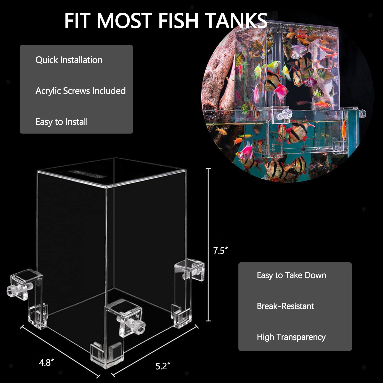 Hifybaty training fish food supports exploration of the new habitat.