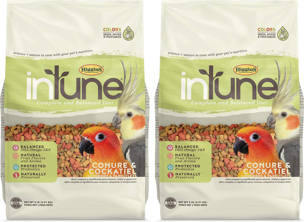 Higgins Intune 2-pack bags opened, showcasing balanced nutrition for conures and cockatiels.