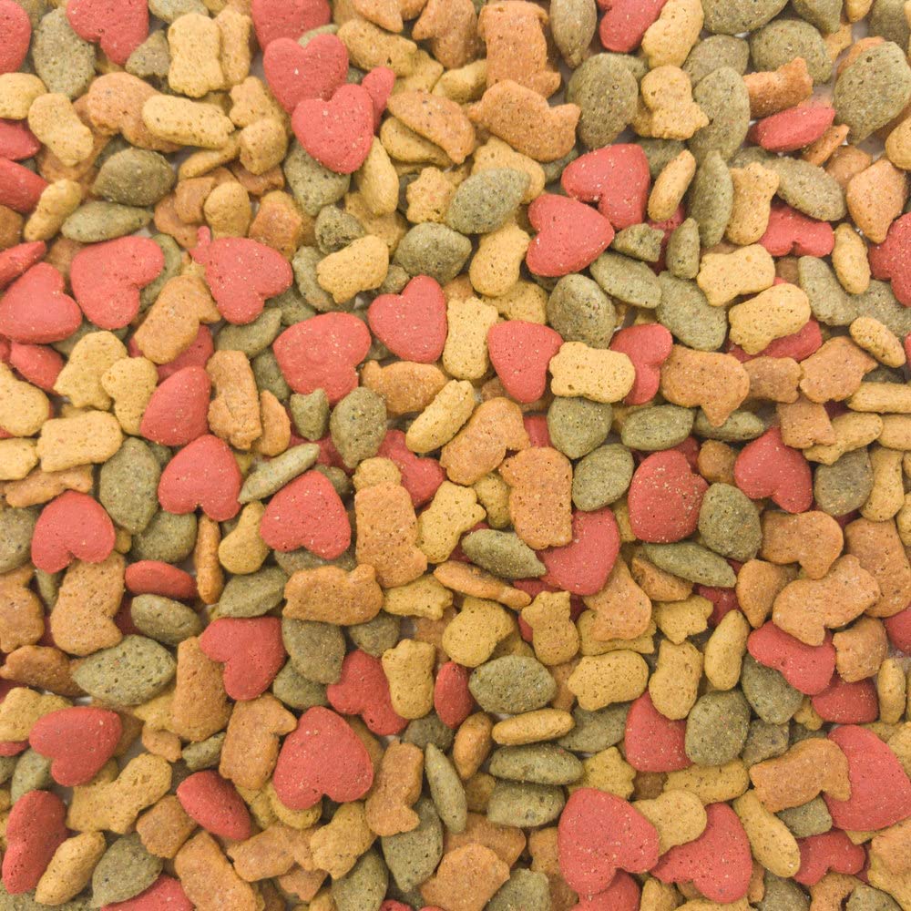 Higgins Intune Parrot serving bowl — convenient feeding moment with probiotics.
