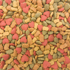 Higgins Intune Parrot serving bowl — convenient feeding moment with probiotics.