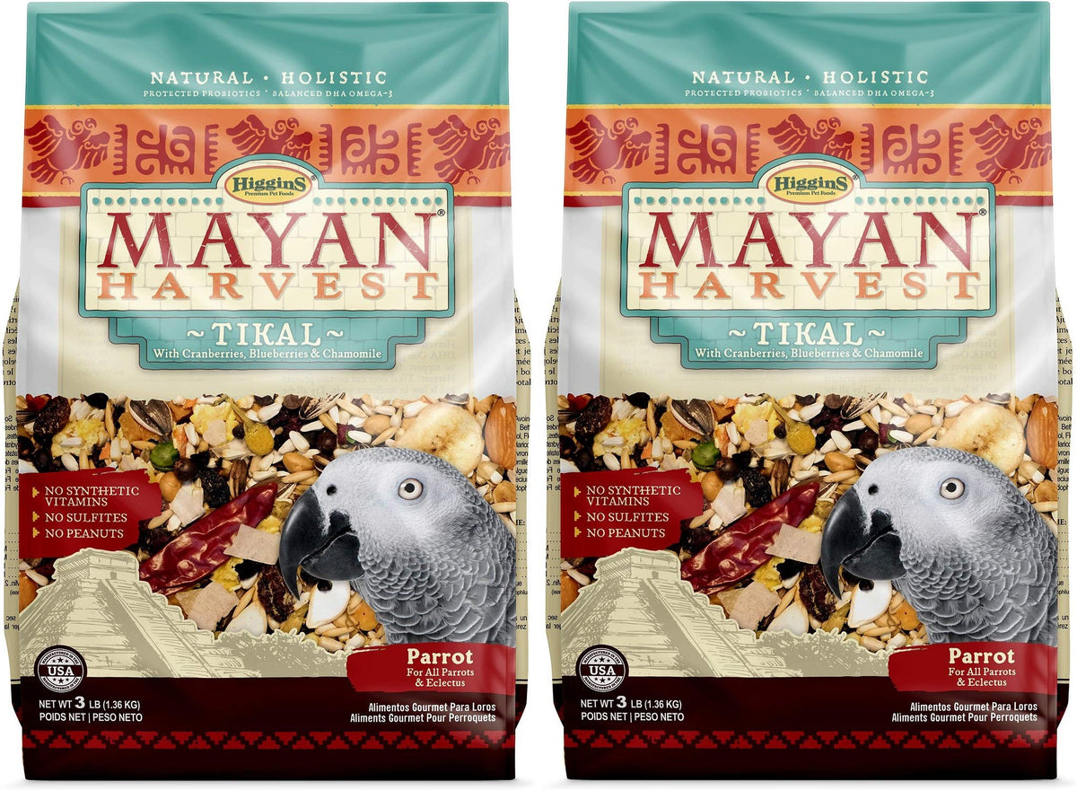 Higgins Mayan Harvest Tikal parrot food 2-pack on shelf showing balanced nutrition for parrots.