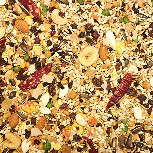 Higgins Mayan Harvest Tikal parrot food label closeup highlighting no artificial additives and wholesome ingredients.