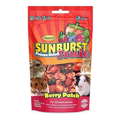 Higgins Sunburst Berry Patch berries closeup highlighting freeze-dried pieces for small pets.