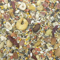 Higgins Sunburst Gourmet Macaw Food serving bowl highlights the textured mix and enrichment potential.