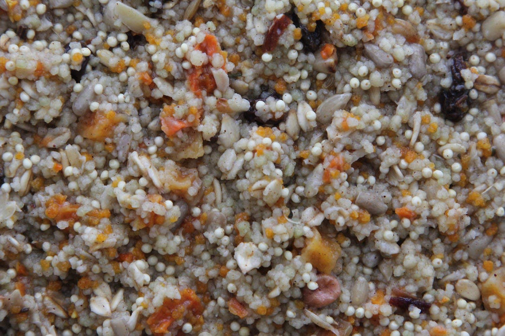 Higgins Worldly Cuisines Spice Market Bird Treat serving on feeder showcases exotic flavor mix.