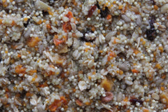 Higgins Worldly Cuisines Spice Market Bird Treat serving on feeder showcases exotic flavor mix.