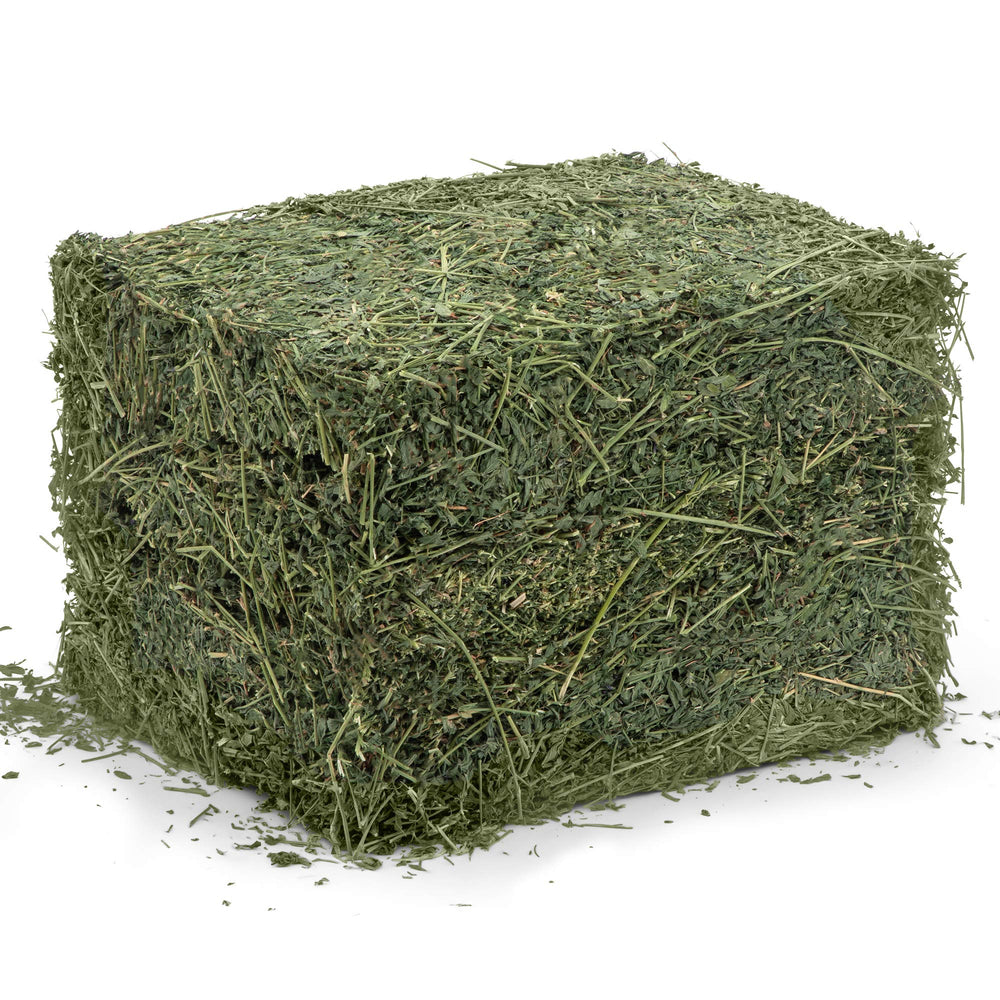 High Desert breathable box packaging preserves freshness and leaf structure.