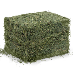 High Desert breathable box packaging preserves freshness and leaf structure.